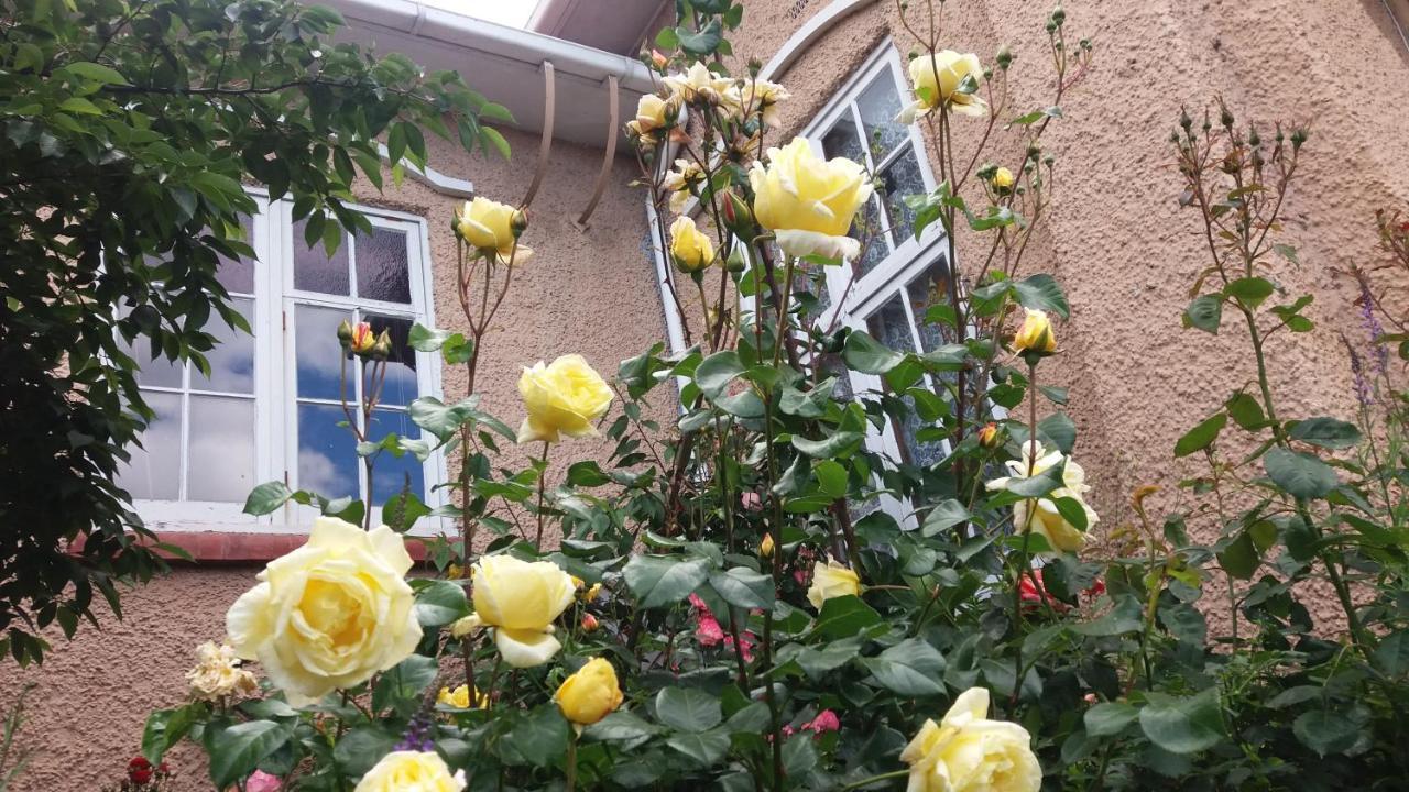 אואהמרו Chimneys B&B מראה חיצוני תמונה